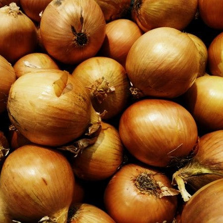 Onion 'Gladalan Brown'