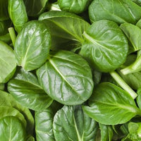 Spinach 'VNS'