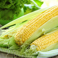 Sweetcorn 'True Gold'